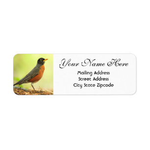 American Robin Return Address Label
