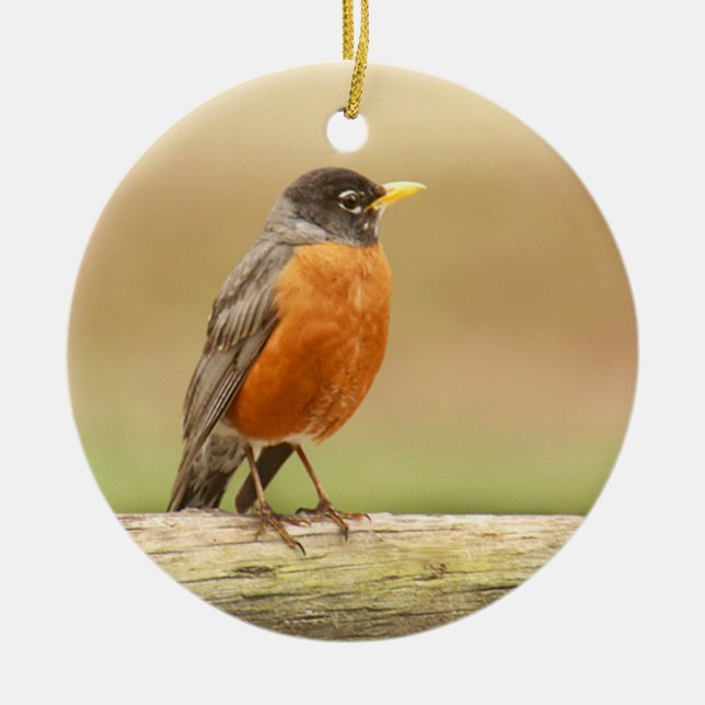 American Robin Standing Ceramic Ornament (Front)