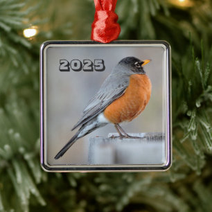 American Robin Standing on Fence Post Wintry Day Metal Ornament