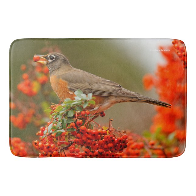 American Robin with a Pyracantha Pomme Bath Mat (Front)