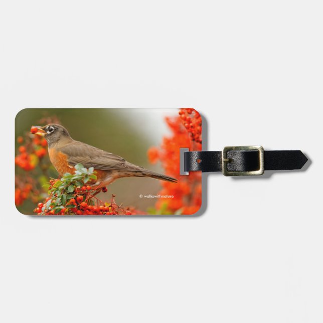 American Robin with a Pyracantha Pomme Luggage Tag (Front Horizontal)