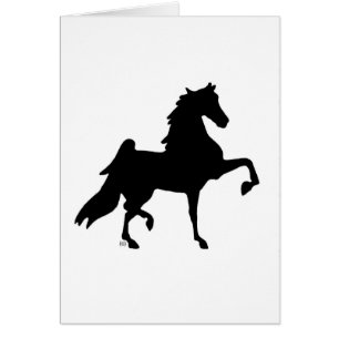 American Saddlebred Horse