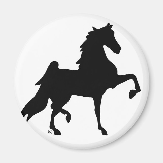 American Saddlebred Horse Magnet (Front)