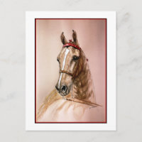 American Saddlebred Horse