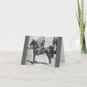 American Saddlebred Horse – Vintage Show Photo Card