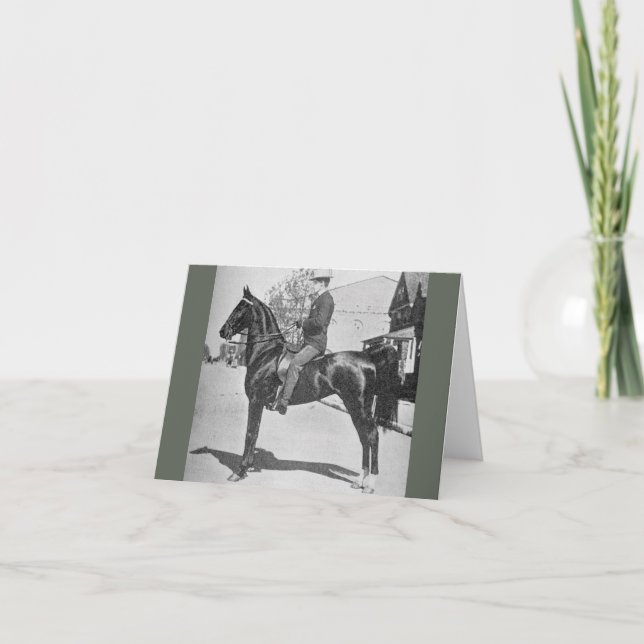 American Saddlebred Horse – Vintage Show Photo Card (Front)