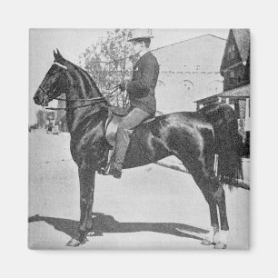 American Saddlebred Horse – Vintage Show Photo Magnet