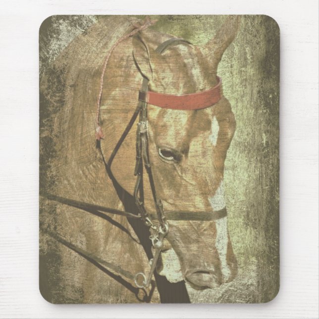 American Saddlebred Mouse Pad (Front)