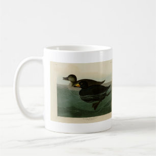 American Scoter Duck - Audubon's Birds of America Coffee Mug