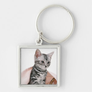 American Shorthair 2 Key Ring