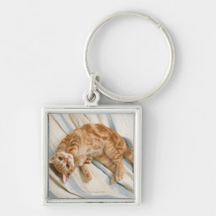 American Shorthair 8 Key Ring