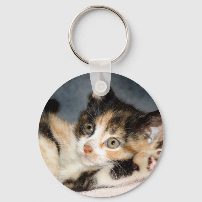 American Shorthair Calico Shelter Kitten Keychain (Front)