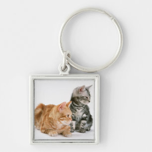 American Shorthair Cat 2 Key Ring