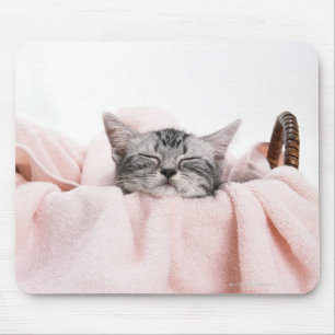 American Shorthair Cat Mouse Pad