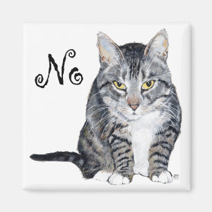 American Shorthair Cat - No Magnet