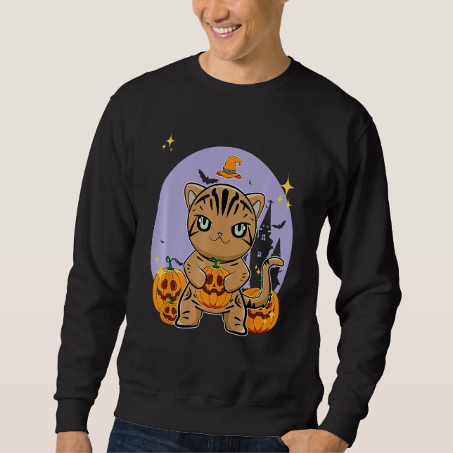 American Shorthair Cat With Pumpkin Halloween Sweatshirt (Front)