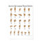 American Sign Language ASL Alphabet Poster