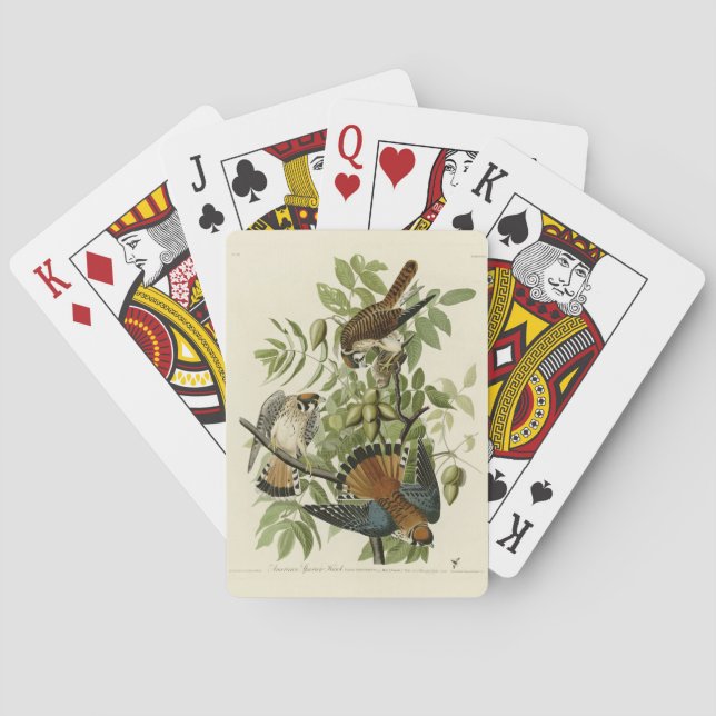 American Sparrow Hawk - Audubon's Birds of America Playing Cards (Back)