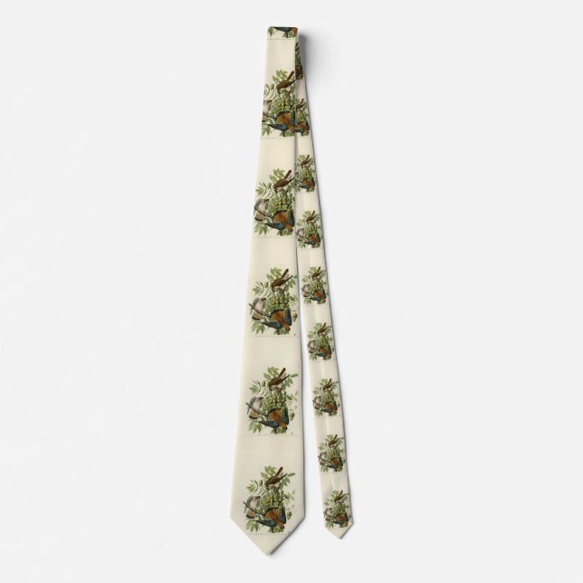 American Sparrow Hawk - Audubon's Birds of America Tie (Front)