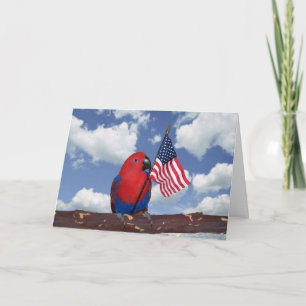 American Spirit Card