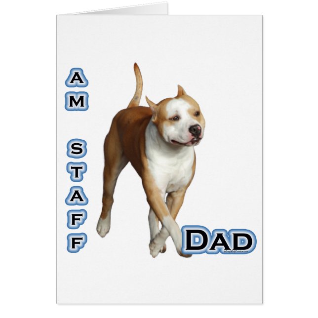 American Staffordshire Dad 4 (Front)