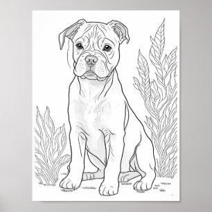 American Staffordshire Dog Adult Colouring Poster