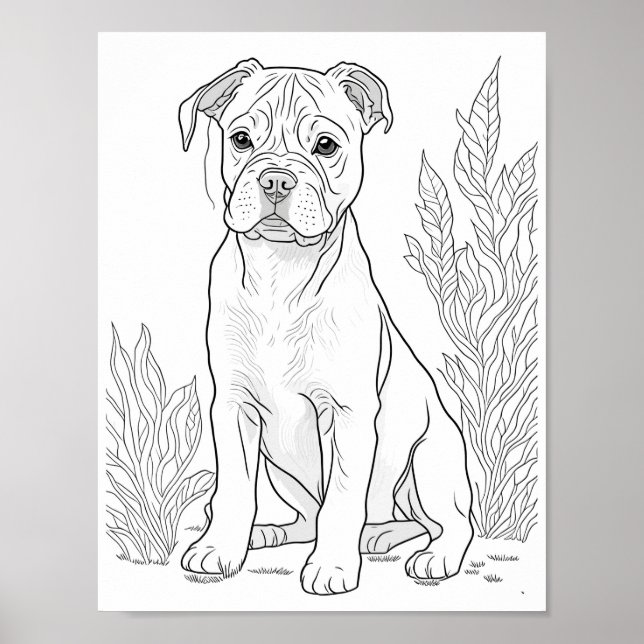 American Staffordshire Dog Adult Colouring Poster (Front)