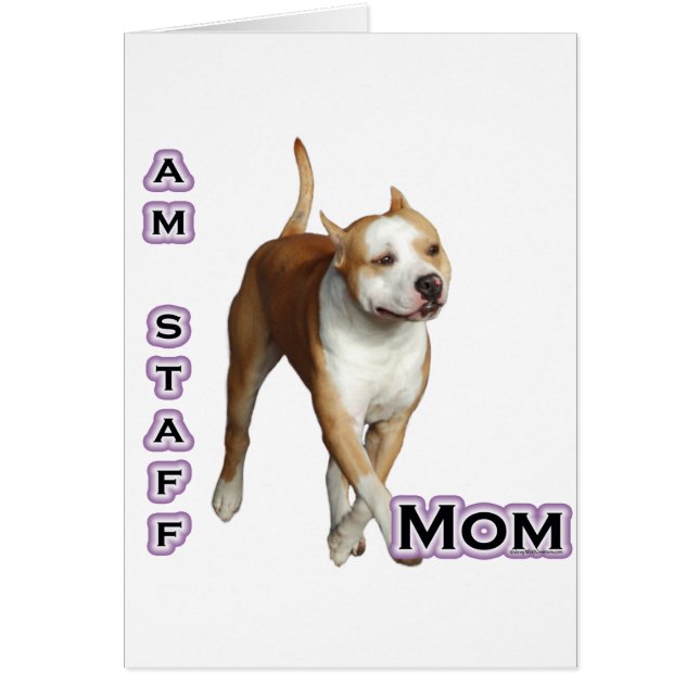American Staffordshire Mum 4 (Front)