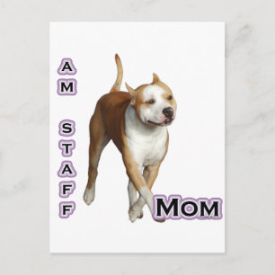 American Staffordshire Mum 4 Postcard