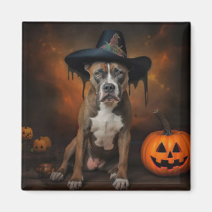 American Staffordshire Pumpkins Halloween Scary Magnet