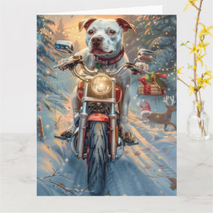 American Staffordshire Riding Motorcycle Christmas Card