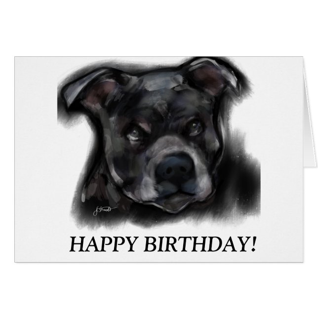 American Staffordshire Terrier (Front Horizontal)