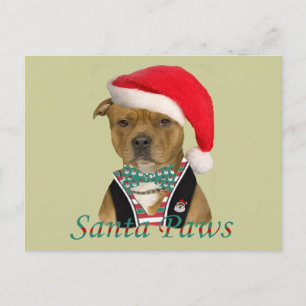 American Staffordshire Terrier A Christmas Design Holiday Postcard