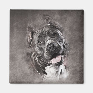 American Staffordshire Terrier - Amstaff Magnet