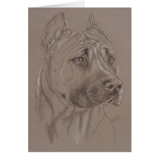 American Staffordshire Terrier Card