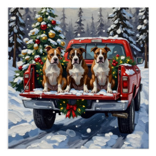 American Staffordshire Terrier Christmas Red Truck Poster