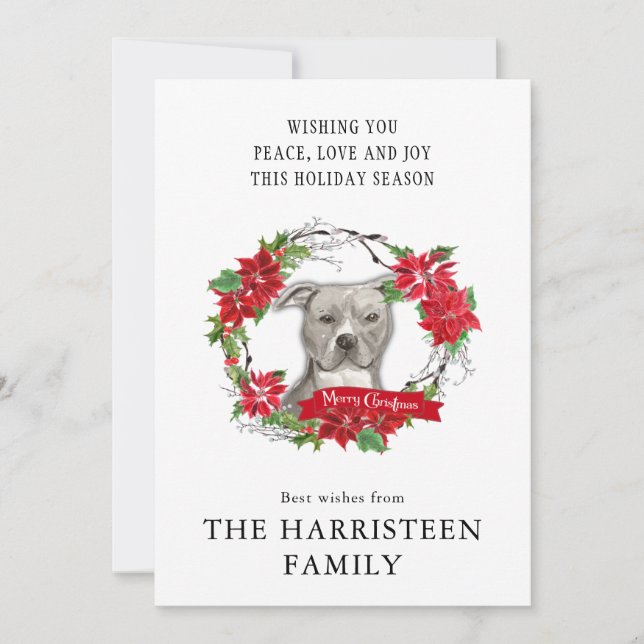 American Staffordshire Terrier Christmas Wreath Holiday Card (Front)
