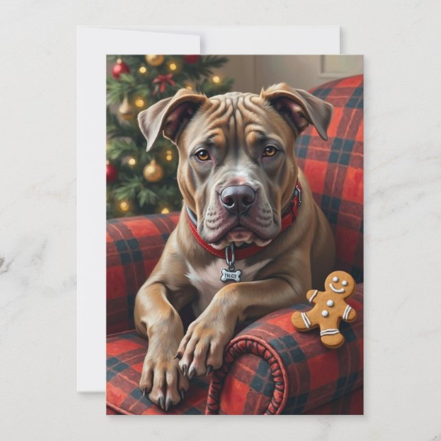 American Staffordshire Terrier Cozy Christmas Holiday Card (Front)