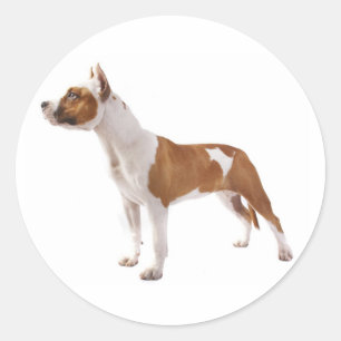 American Staffordshire Terrier Dog Sticker Seals