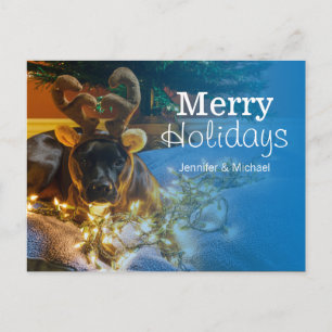 American Staffordshire Terrier Holiday Postcard