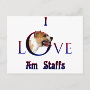 American Staffordshire Terrier I Love Postcard