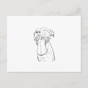 American Staffordshire Terrier Illustration Postcard
