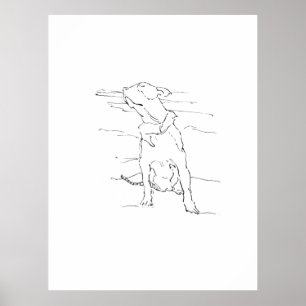 American Staffordshire Terrier Illustration Poster