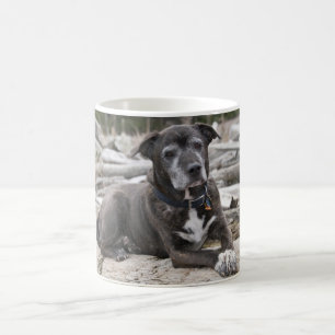 American Staffordshire Terrier - Mug