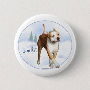 American Staffordshire Terrier Noel - Button