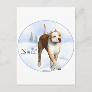 American Staffordshire Terrier Noel Holiday Postcard