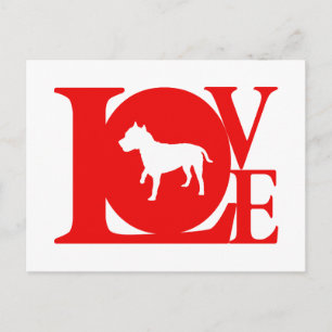 American Staffordshire Terrier Postcard