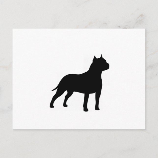 american staffordshire terrier postcard (Front)
