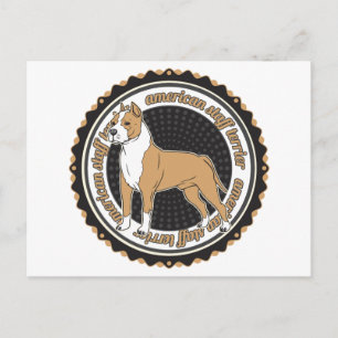 American Staffordshire Terrier Postcard