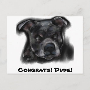 American Staffordshire Terrier Postcard